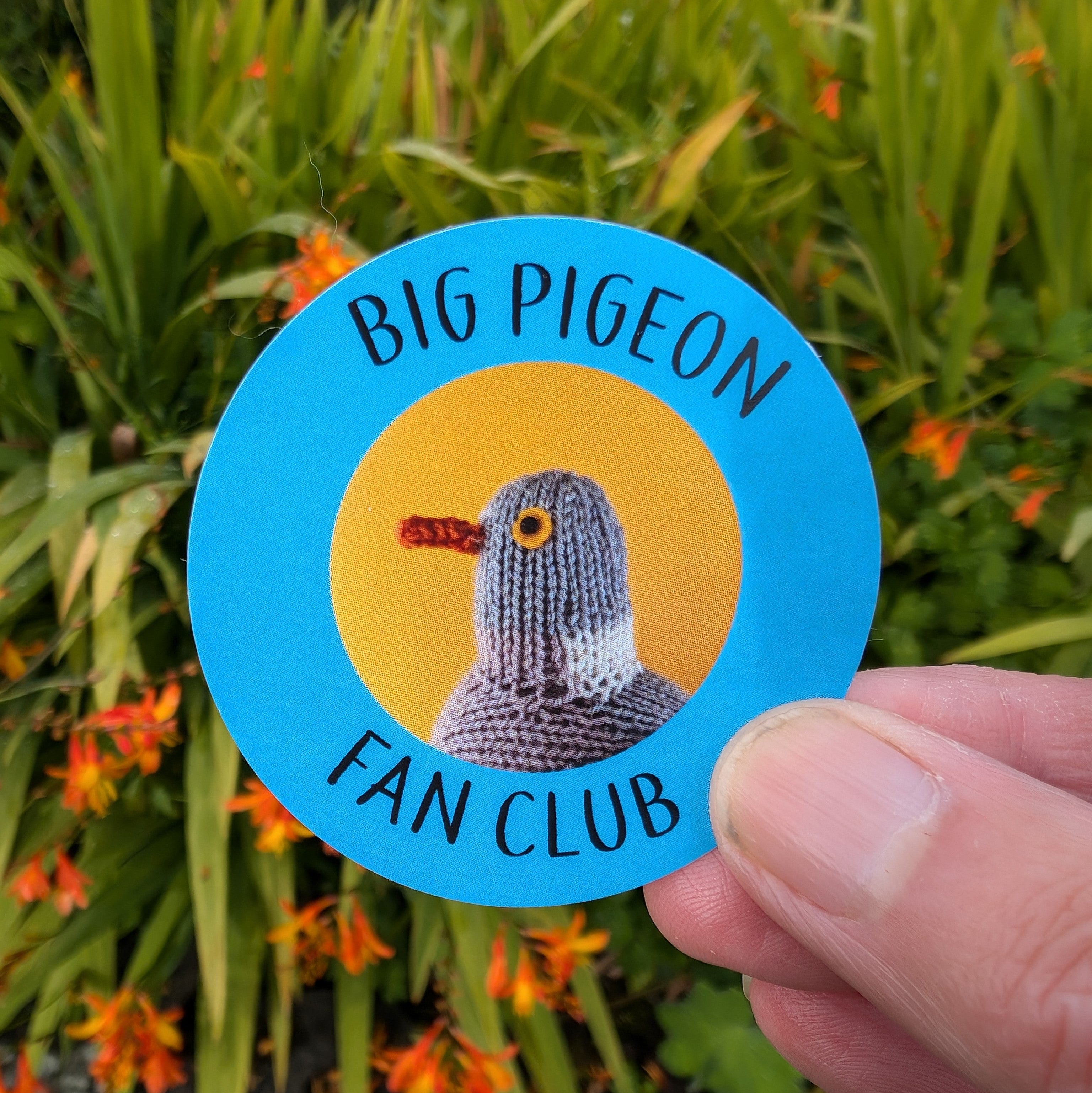 A blue and yellow sticker with a knitted wood pigeon on it. The text reads Big Pigeon Fan Club