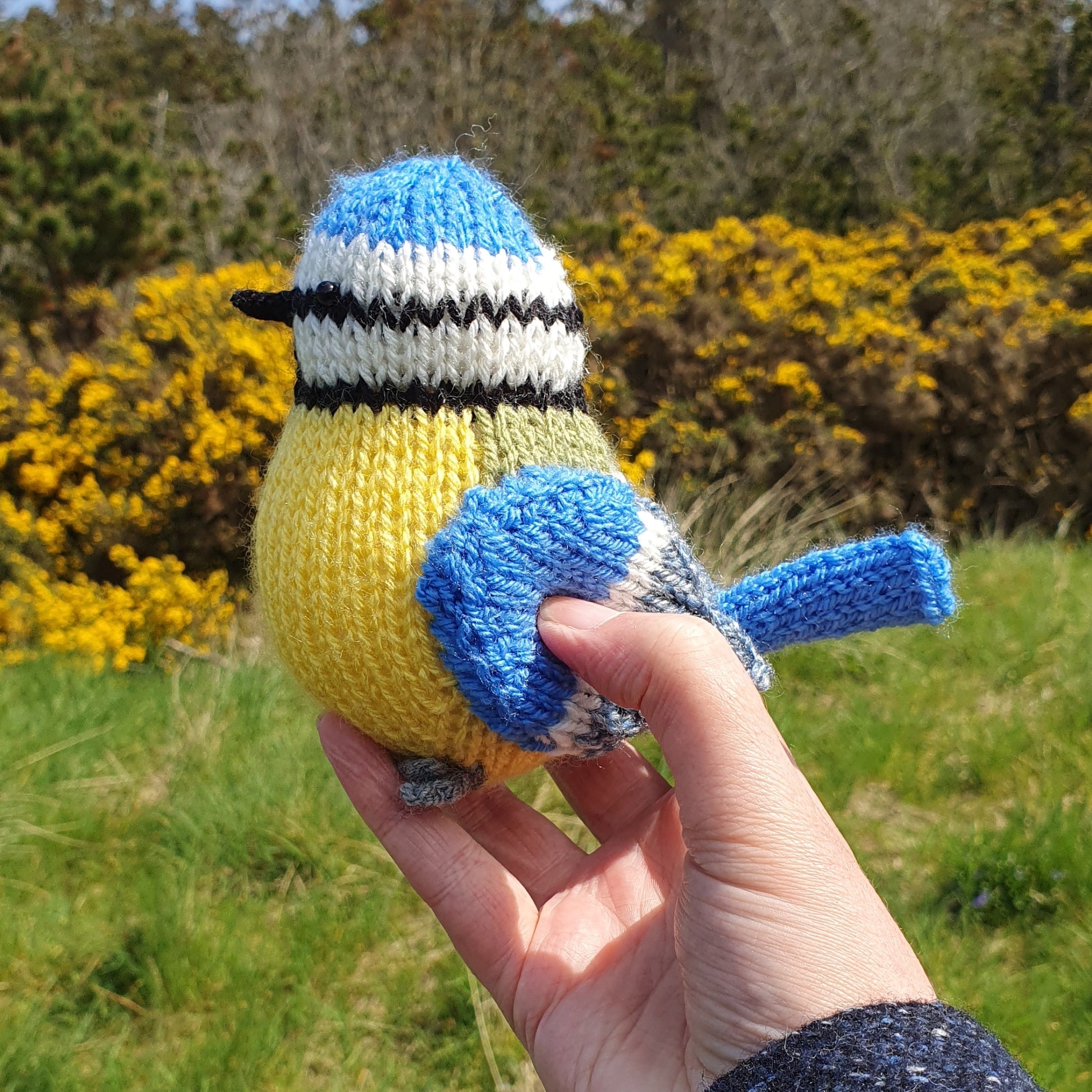 Animal Crochet Kit. Woodland Crafting. Blue Tit Bird Advanced Kit