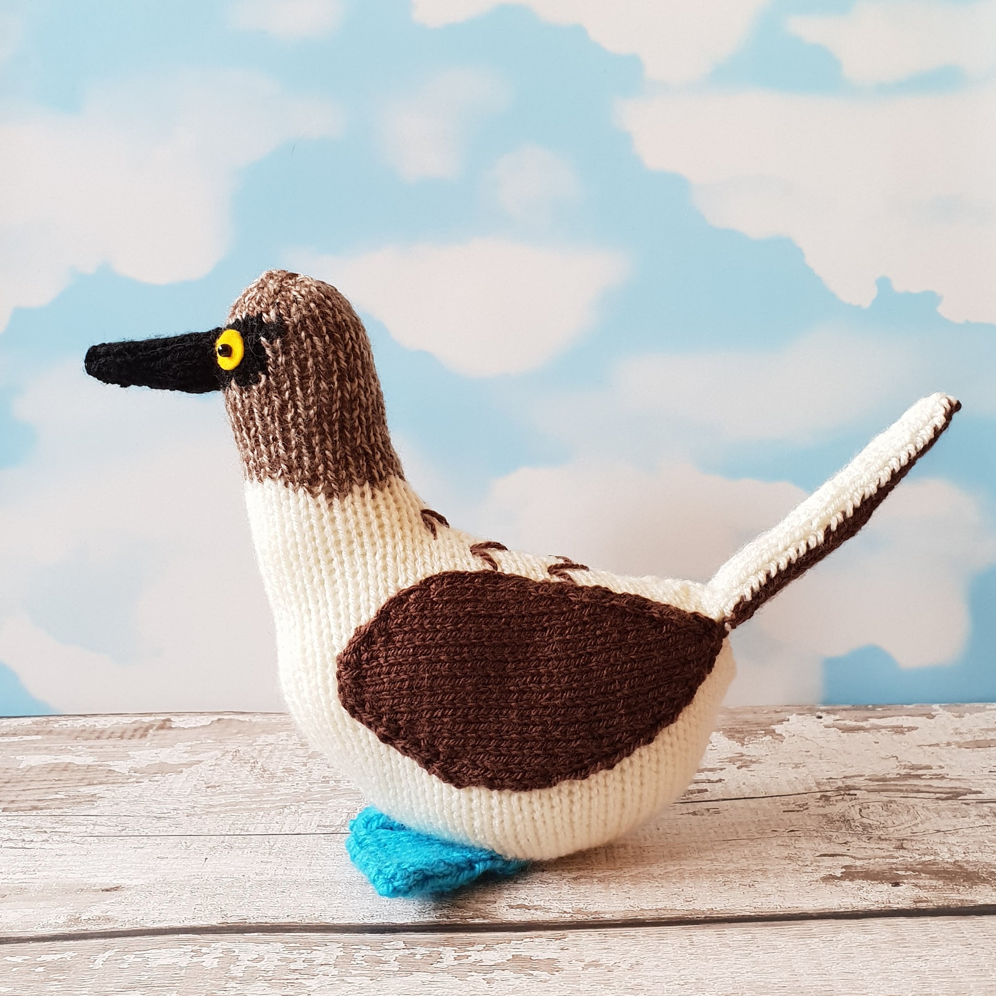 Bryan the Blue Footed Booby bird knitting kit Knitted Birds