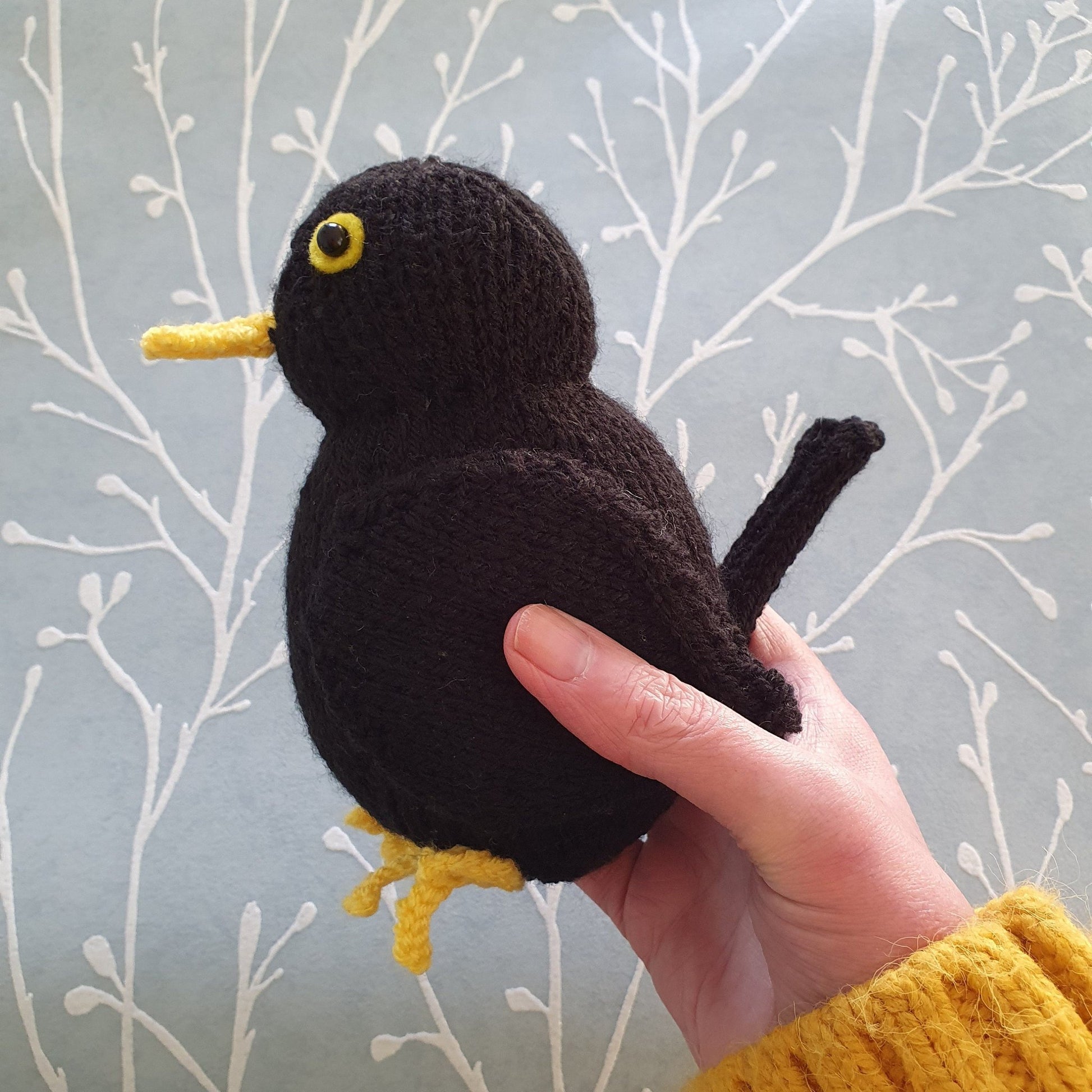 a plump black blackbird being held in a female hand with a yellow jumper sleeve visible in the corner