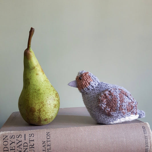 a knitted partridge is sitting on top of a pile of vintage books. He is facing a green pear.