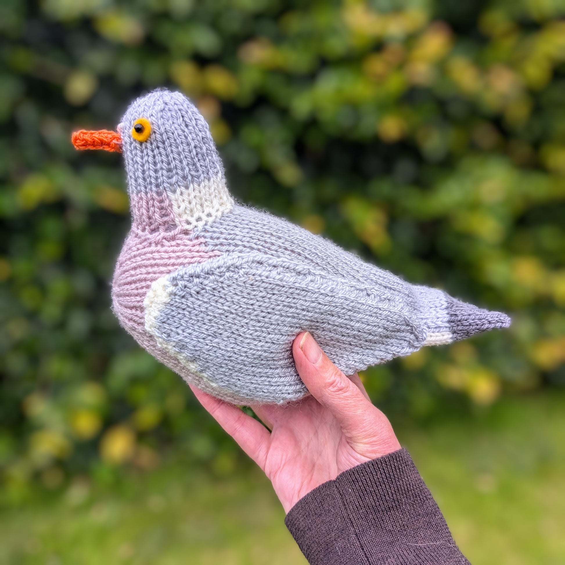 wood pigeon knitting kit