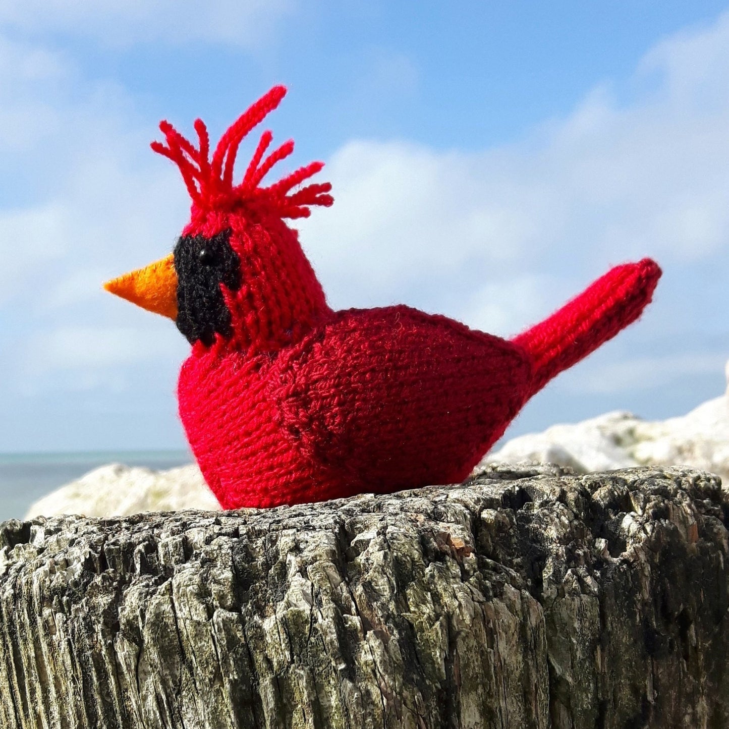 a red northern cardinal bird sitting on a wooden post with blue sky in the background