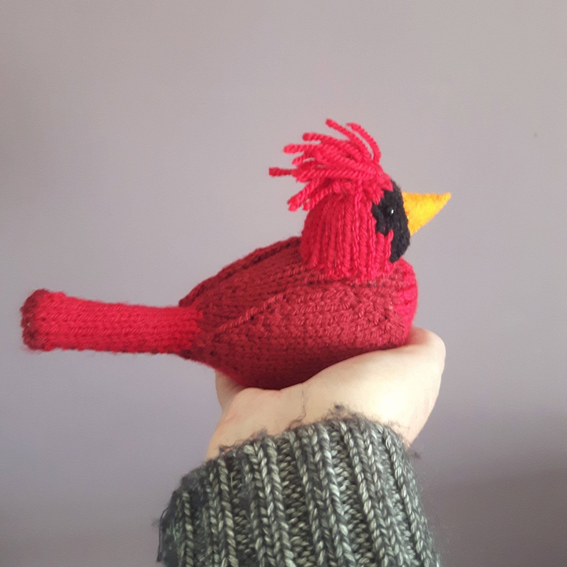 a bright red cardinal bird being held by a female hand wearing a grey jumper